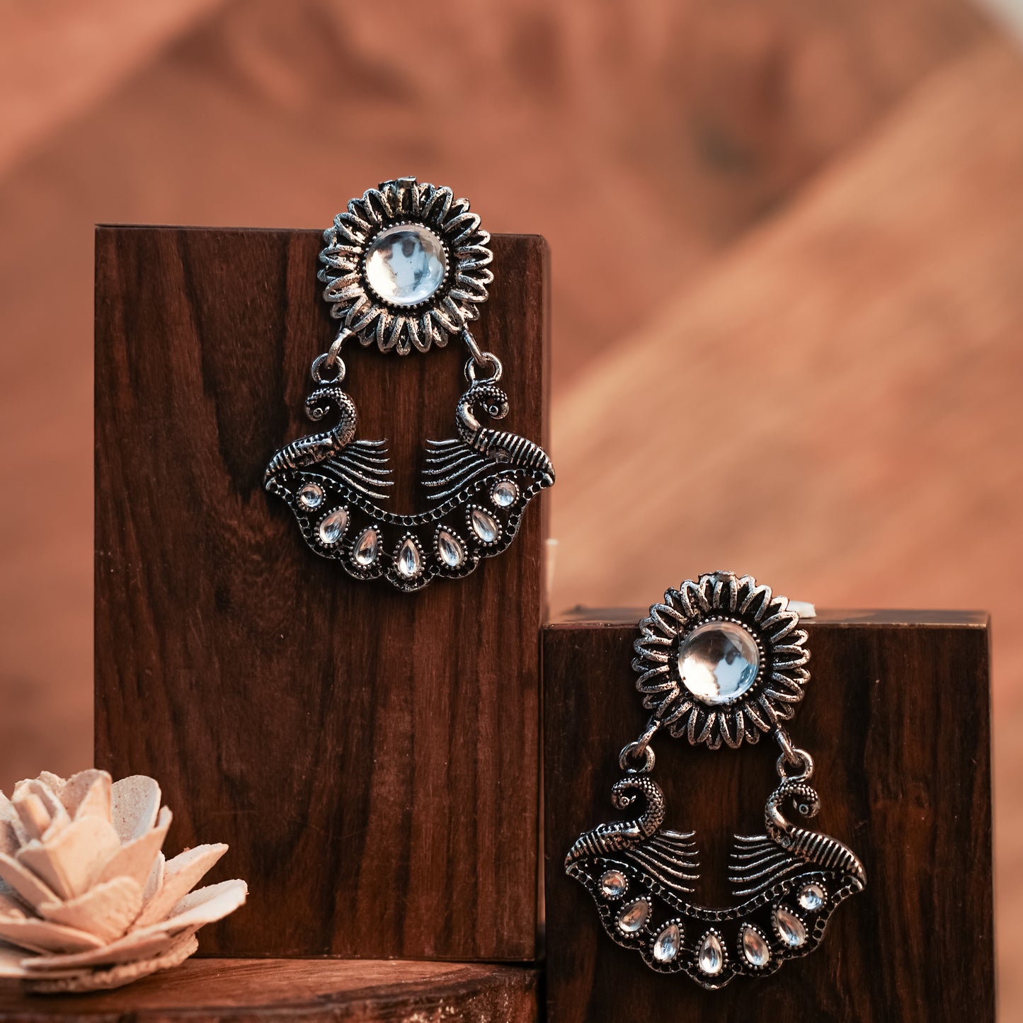 White Stone Studded Beautiful Oxidized Earrings